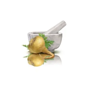 GNC Herbal Plus Maca Root 525mg 100 Capsules Supports Vitality - Mortar and pestle next to maca root