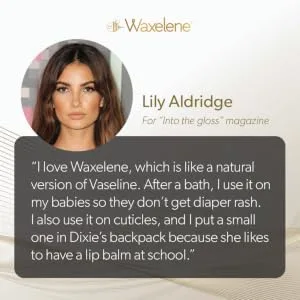 Lavender Aerated Lip Balm tin - Single - lily aldridge waxelene natural organic multi purpose ointment aerated balm