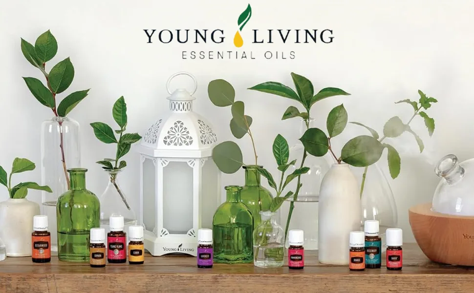 Young Living Thieves - 15ml - Purifying Essential Oil Blend - Known for Refreshing Breathing Experiences - 100% Pure Aromatherapy Diffuser - Natural Cleaning Home Fragrance - product information 6