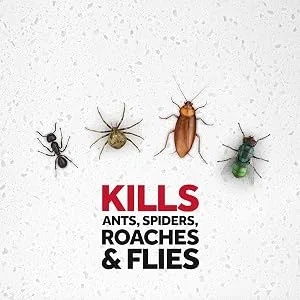 Raid Multi Insect Killer, Kills Ants, Spiders, Roaches and Flies, For Indoor and Outdoor use, Orange Breeze Scent, 15 oz - product information 2