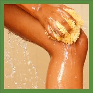 Wild Ferns Manuka Honey Shower Gel - MNSG leg