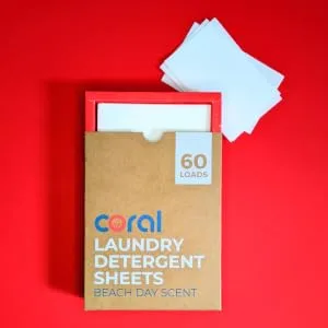 Eco-Friendly Laundry Detergent Sheets (60 Loads) Beach Day Scent | Coral Laundry | Plastic-free alternative to your liquid detergent or pods | Hypoallergenic | Biodegradable & Zero Waste - detergent strips, liquid laundry detergent, liquidless laundry detergent, laundry detergent powder