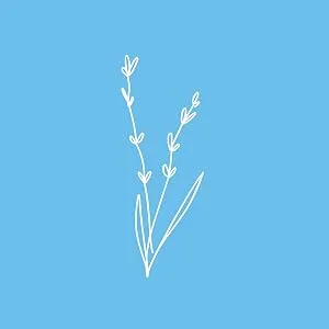 Thetis Laundry Detergent Sheets | 50 sheets (100 Loads) | Dissolves Fast | Eco-friendly Biodegradable No Plastic Jug | Home Travel College | Fresh Floral Scent - white lavender branch