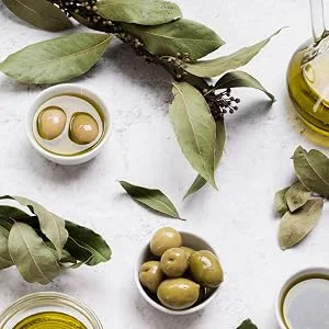 Olive Night Cream - Anti Aging Renewal for Face Eyes and Neck 2 oz - olive