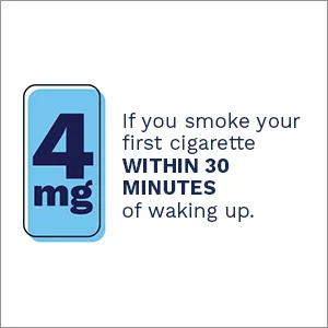 Quit Smoking Lozenges - product information 2