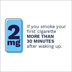 Quit Smoking Lozenges - product information 3