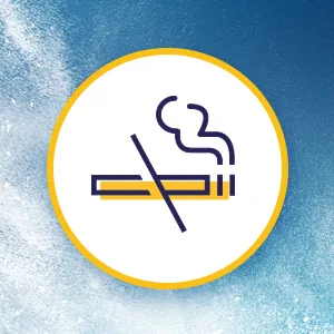 Quit Smoking Gum White Ice Mint - How does Nicorette work?