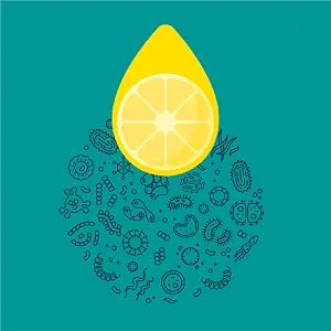 Lemi Shine Booster (1 12 oz) - Germs killed by Citric Acid