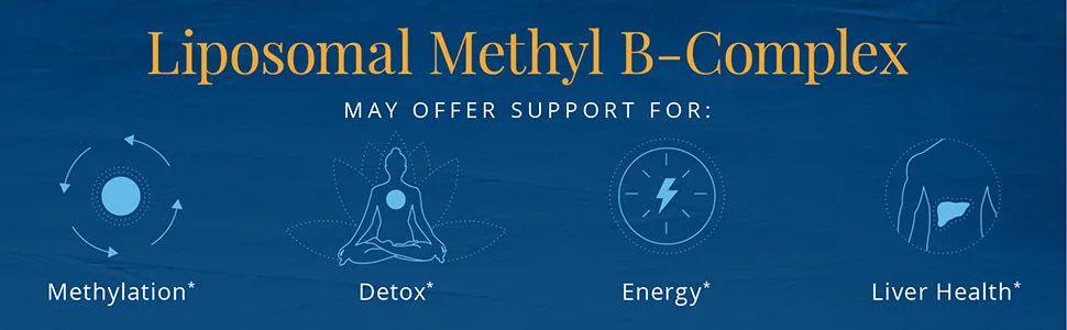 Quicksilver Scientific Liposomal Methyl B-Complex - Methylated B-Complex Liquid Vitamins - Milk Thistle, Folate + Methylcobalamin - Detox, Immune, Mood, Liver + Energy Support - Vegan (1.7oz / 50ml) - Supports methylation, detox, energy, liver health