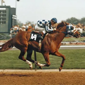 ARIAT Men's ATS Square Toe Footbeds Multi 8 8 Multi - Jockey riding Secretariat