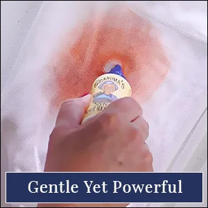 2OZ Spot Remover DSP - Grandma&amp;amp;amp;amp;amp;amp;amp;#39;s Secret Spot Remover