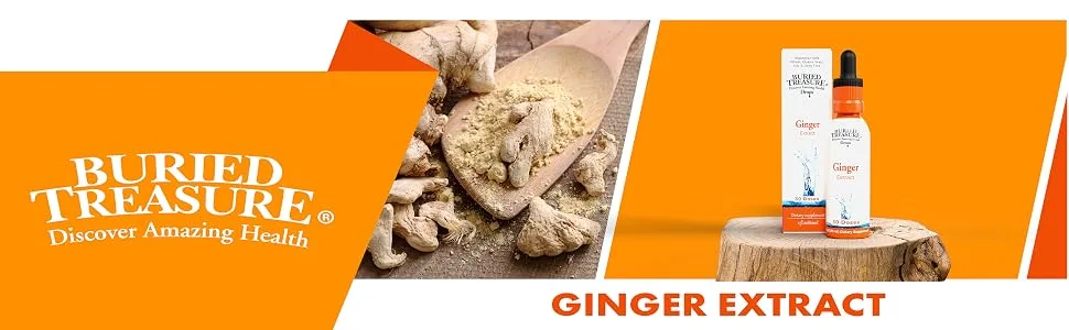 Buried Treasure Ginger Drops - Made with Organic Ginger Root for Digestive Support Upset Stomach Settle Drops No Sugar Alcohol Free Versatile Use for Ginger Tea or Direct Consumption 30 Servings - Ginger Tea