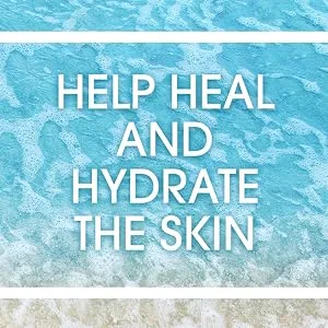 Devoted Creations Barefoot Beachwood All Day Body Moisturizer - Help Heal and Hydrate the Skin