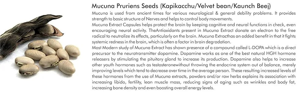 bixa BOTANICAL Mucuna Pruriens Extract Capsules (Kapikacchu/Velvet Bean/Kaunch Beej) 60 Veg Capsules (450mg) - product information 2