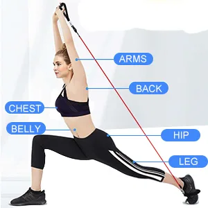 Resistance Bands Set Workout Bands with 5 Stackable Exercise Bands 5 Resistance Loop Bands 2 Core Sliders Door Anchor Ankle Straps Jump Rope Hand Grip Strengthener - exercise bands