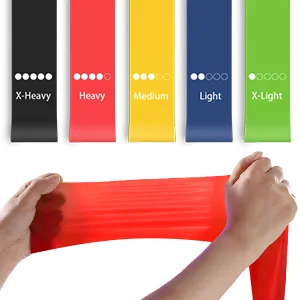 Resistance Bands Set Workout Bands with 5 Stackable Exercise Bands 5 Resistance Loop Bands 2 Core Sliders Door Anchor Ankle Straps Jump Rope Hand Grip Strengthener - Resistance Loop Bands