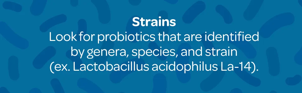 Puritan's Pride Probiotic Supplement, Acidophilus, 250 Count 250 Count (Pack of 1) - image