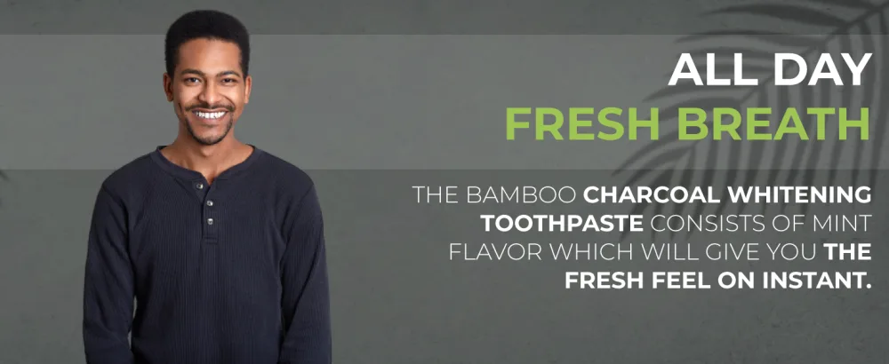 Bamboo Charcoal Toothpaste | 4oz / 120ml | Mint Flavor | Aluminum Tube with Bioplastic Cap | 100% Plastic-Free and Recyclable | Charcoal Paste for Teeth Cleaning and Whitening - BOONBOO Bamboo Charcoal Toothpaste