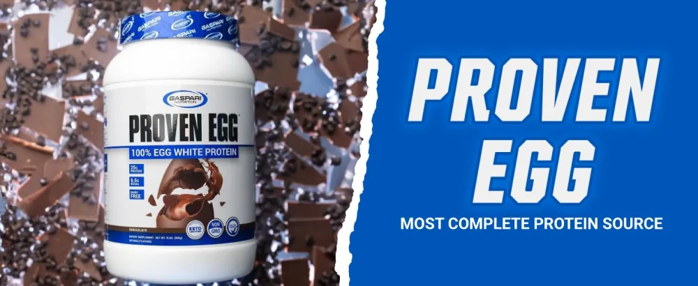 Gaspari Nutrition Proven Egg 100% Egg White Protein 25g Protein Keto Friendly Dairy Free Lactose Free Soy Free (1lb Chocolate) - Gaspari Nutrition Proven Egg