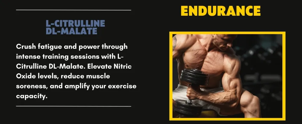 Nitric Oxide Booster 5X 4 000 MG+ Maximum Strength 120ct Stamina & Endurance Vascular Support Pre-Workout Post-Workout - product information 5