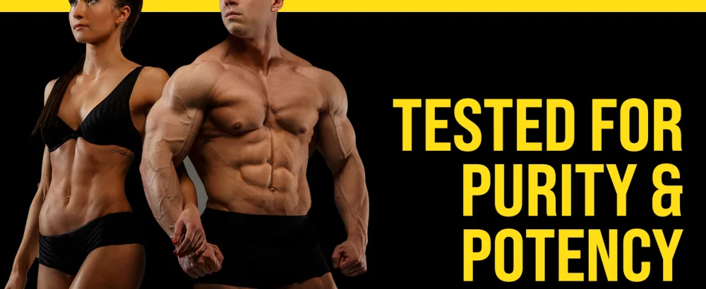 Primaforce Whey Protein Isolate Powder (Chocolate 2 lbs) - Non-GMO Gluten Free - Whey Protein Isolate