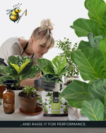 Microfiber Dusting Gloves for Plants : Premium Gentle Traps Dust Washable Lint Free : Use with Big Leaf Energy ready-to-use spray for houseplants - best houseplant fertilizer