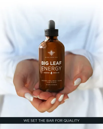 Microfiber Dusting Gloves for Plants : Premium Gentle Traps Dust Washable Lint Free : Use with Big Leaf Energy ready-to-use spray for houseplants - best neem oil spray for plants