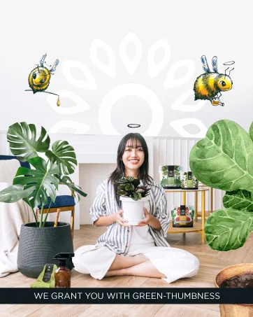 Microfiber Dusting Gloves for Plants : Premium Gentle Traps Dust Washable Lint Free : Use with Big Leaf Energy ready-to-use spray for houseplants - green thumb