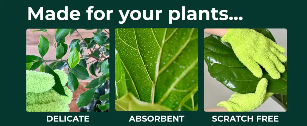 Microfiber Dusting Gloves for Plants : Premium Gentle Traps Dust Washable Lint Free : Use with Big Leaf Energy ready-to-use spray for houseplants - houseplant gloves mittens