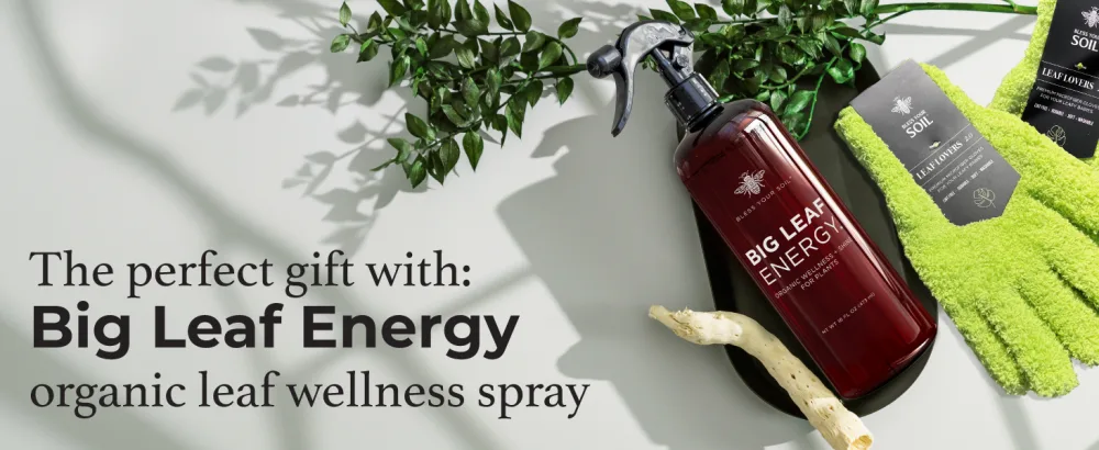 Microfiber Dusting Gloves for Plants : Premium Gentle Traps Dust Washable Lint Free : Use with Big Leaf Energy ready-to-use spray for houseplants - organic leaf cleaning shine spray