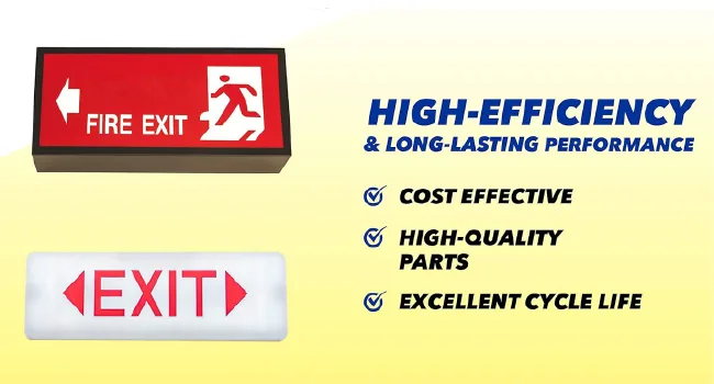 4.8V 1000mAh Exell Emergency Lighting Battery for Emerlight Daybright BL93NC487 E-conolight E-XP2RBW Emergi-lite BL93NC487 Emerlight BL93NC487 ANIC1117 Unitech Systems D-AA500 CUSTOM-43 - Exell Battery