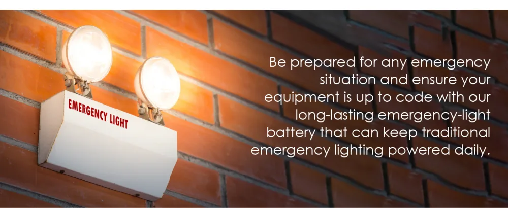 4.8V 1000mAh Exell Emergency Lighting Battery for Emerlight Daybright BL93NC487 E-conolight E-XP2RBW Emergi-lite BL93NC487 Emerlight BL93NC487 ANIC1117 Unitech Systems D-AA500 CUSTOM-43 - Exell Battery