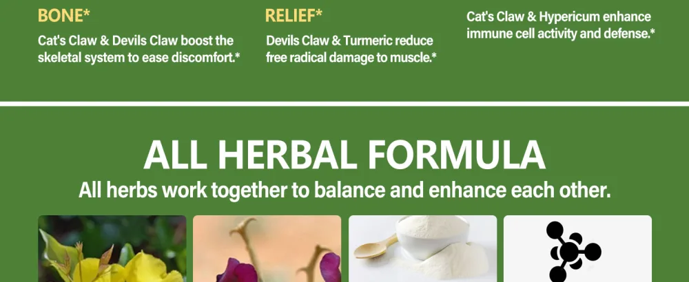 All-Natural Vegan Joint Health Drops: A Comprehensive Solution for Joint Care - 59 ml - Joint Health A3
