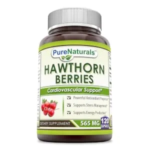 Pure Naturals Hawthorn Berries 565 Mg Capsules * Powerful Antioxidant Activity * Supports Cardiovascular Health (120 Count) - product information 2