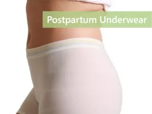 Postpartum C-Section Recovery Kit with postpartum essentials: abdominal belly band disposable underwear and silicone scar sheets. (L/XL) - Disposable Underwesar
