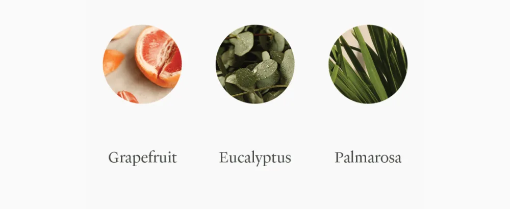 Vitruvi Boost Fresh Essential Oil Blend 100% Pure Juniper Lime Grapefruit and Bergamot oil (0.5 fl.oz) - Grapefruit - Palmarosa - Eucalyptus