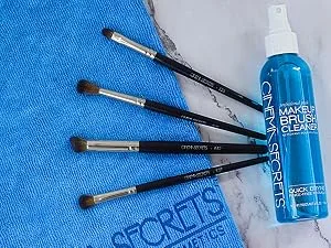 Cinema Secrets E23 Flat Filbert Eyeshadow Brush - gfcg