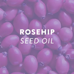 Moroccan Magic Sleep Exfoliating Face Wash | Clean Beauty | Sweet Lavender | Vegan | Cruelty-Free - rosehip