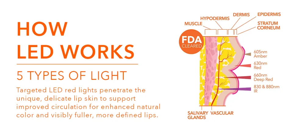 Dr Dennis Gross DRx SpectraLite LipWare Pro - Targeted LED red lights penetrate the unique, delicate lip skin to support improved circulation