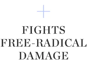 HydroPeptide Optimist Radiance Serum Restorative Mist 3.4 Ounce - product information 7