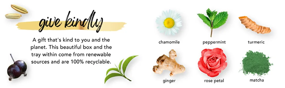 Pukka Herbal Tea Sampler, Organic Tea, Eco-friendly, Self Care Gift Box, 45 Tea Bags, 9 Flavors - Module 3