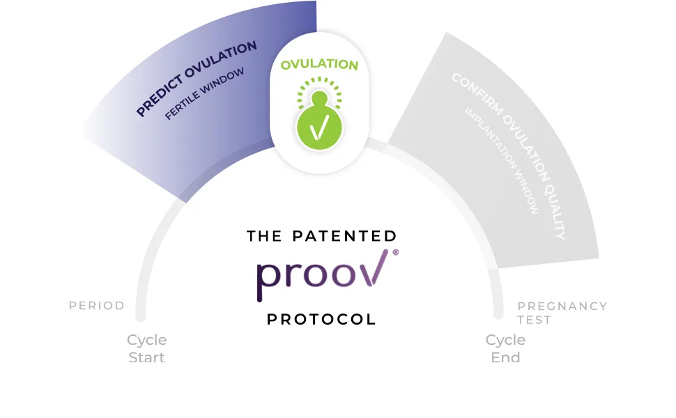 Proov PredictTM l Ovulation Test Strips to Predict The Fertile Window l 30 LH Tests and One Proov P Cup - Proov Protocol Proov Patent Ovulation Predictor PdG Test Cycle Hormones Test Fertility Support