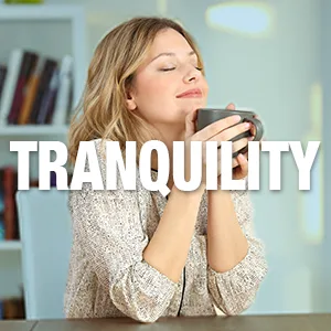 Premium Magnesium Complex - Magnesium Citrate, Malate, Taurate, Oxide, Aspartate, Bisglycinate Chelate TRAACS - 120 Capsules - Tranquility