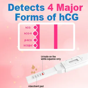Pregnancy Test Early,Docalon Pregnancy Test Clear at-Home Early Pregnancy Test Kit Included - Accurate & Easy Response Resultst Detection Individually Sealed-2 Count - product information 4