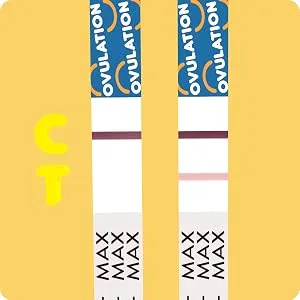 Pregmate 50 Ovulation and 20 Pregnancy Test Strips Predictor Kit - Negative: One line appears in the control area or the test line is lighter than the control line.