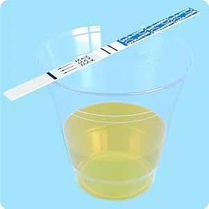 Pregmate 100 Ovulation Test Strips Predictor Kit (100 Count) - A positive result indicates the presence of a high amount of Luteinizing Hormone or LH surge.