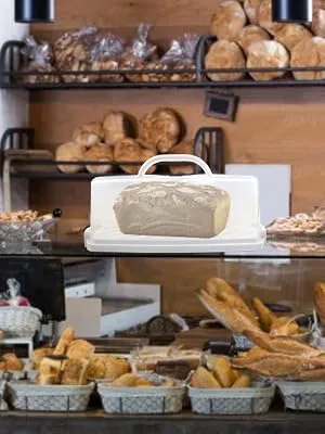 Portable Plastic Rectangular Loaf Bread Box, 13inch Translucent Cake Container Keeper for Buns Rolls Pumpkin Cakes Bagels Pastries Doughnut White - cake box