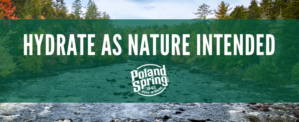 Poland Spring, Spring Water, 1 Gallon Jug 128 Fl Oz (Pack of 1) - Poland Spring Still