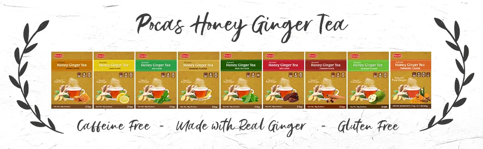 Pocas Honey Ginger Tea, Original, 18 Gram, 20 Count (Pack of 2) Original 20 Count (Pack of 2) - honey ginger tea
