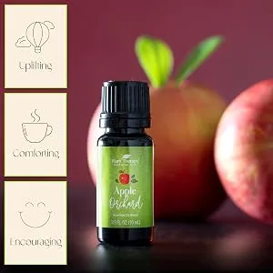 Plant Therapy Pumpkin Spice Fall Essential Oil Blend 10 mL (1/3 oz) 100% Pure, Undiluted, Therapeutic Grade - apple fall scent